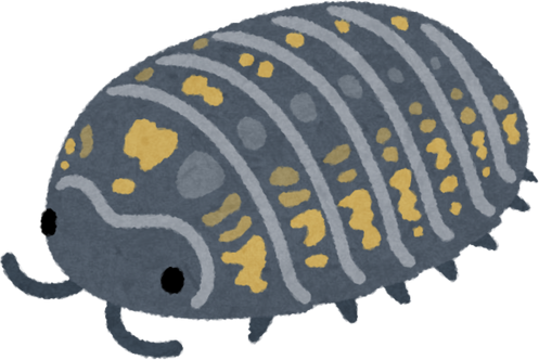 Watercolor Illustration of a Female Pill Bug